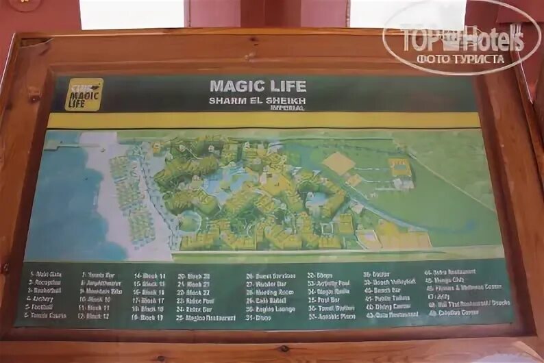 Magic world 5. Отель Magic World Sharm Club by Jaz. Magic World Sharm карта отеля. Magic World Sharm Club by Jaz 5 карта отеля. Карта отеля Шарм клаб.