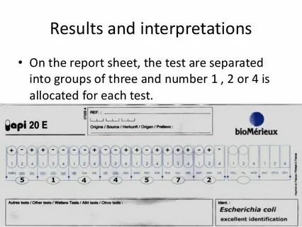 Api result