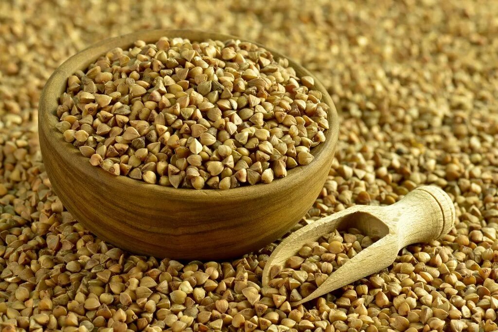 Гречка для детей. Гречневая каша на белом фоне. Крупа гречневая. Гречка на белом фоне. Крупа гречневая.