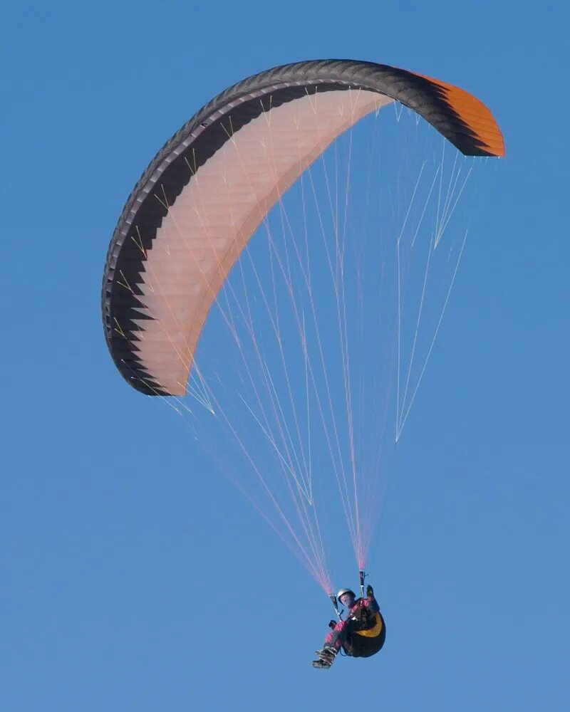 купол крыло. планирование на парашюте. фото параплана. британское парамоторное крыло. раскрытый парашют.