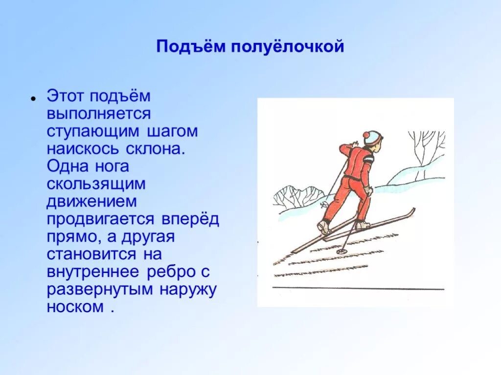 Спуску на лыжах надо начинать учиться. Описание подъема полуелочкой. Физкультура темы по лыжам скользящий шаг. Подъем полуелочкой на лыжах техника. Техника выполнения подъема полуелочкой.