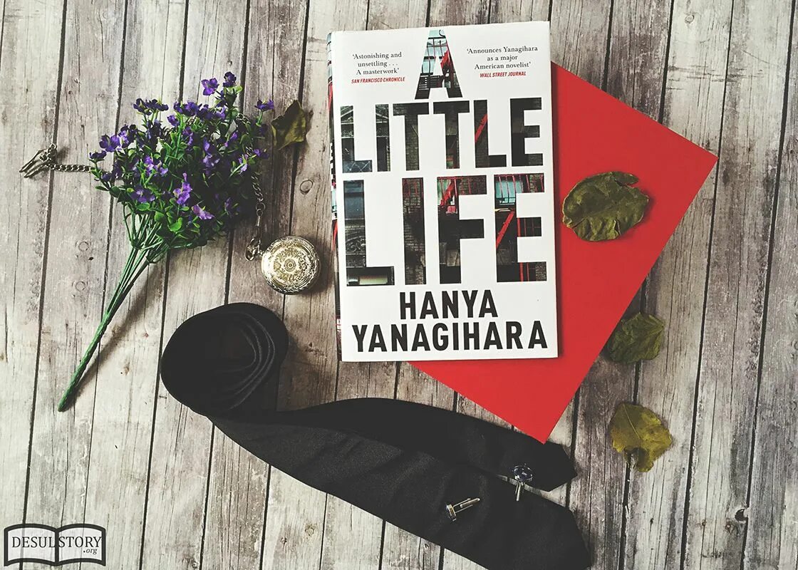 A little life книга. Маленькая жизнь Ханья Янагихара. Большая маленькая жизнь книга. Маленькая жизнь Ханья Янагихара книга.