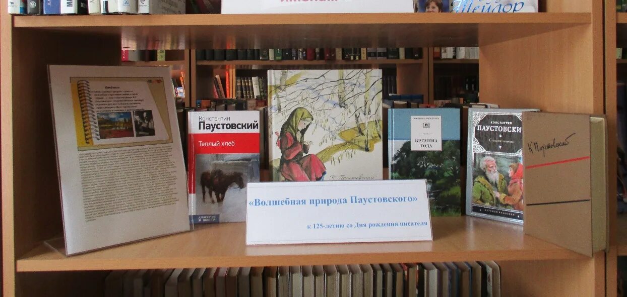 Сценарий писатель в библиотеке. Выставка к 130 летию со дня рождения к.Паустовского. К.Г.Паустовский выставка. К Г Паустовский книжная выставка. Выставка книг Паустовского в библиотеке.