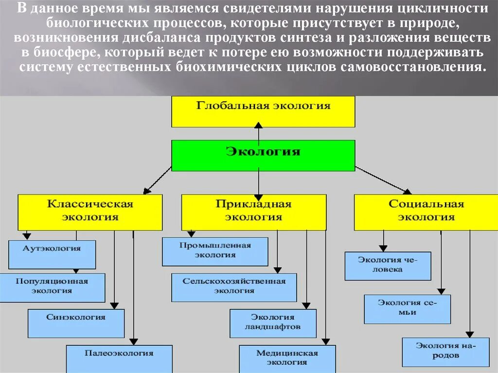 Что является биологическим процессом. Глобальные нарушения в биосфере. Опасность глобальных нарушений в биосфере. Опасность глобальных нарушений в биосфере проект. Предотвращение нарушений в биосфере.