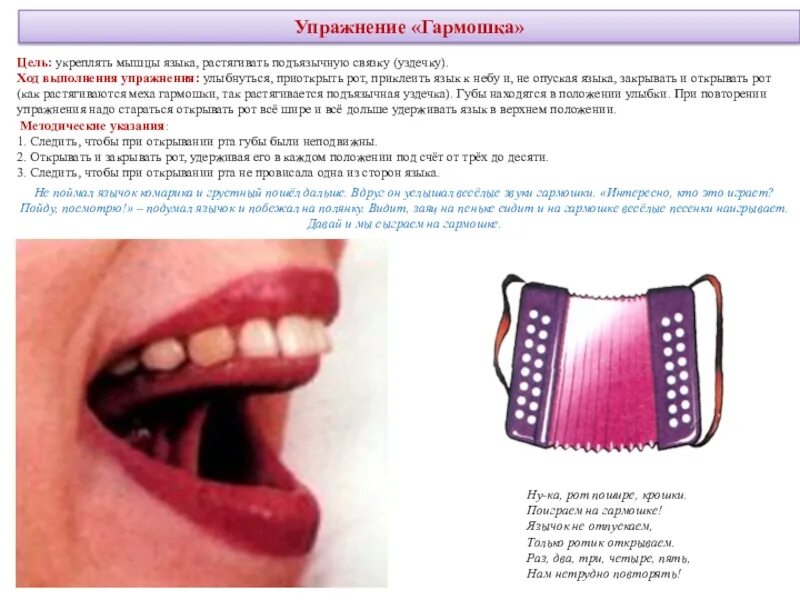 Упражнение гармошка артикуляционная гимнастика. Артикуляционная гимнастика грибок гармошка. Гармошка гимнастика для языка. Гармошка логопедическое упражнение.