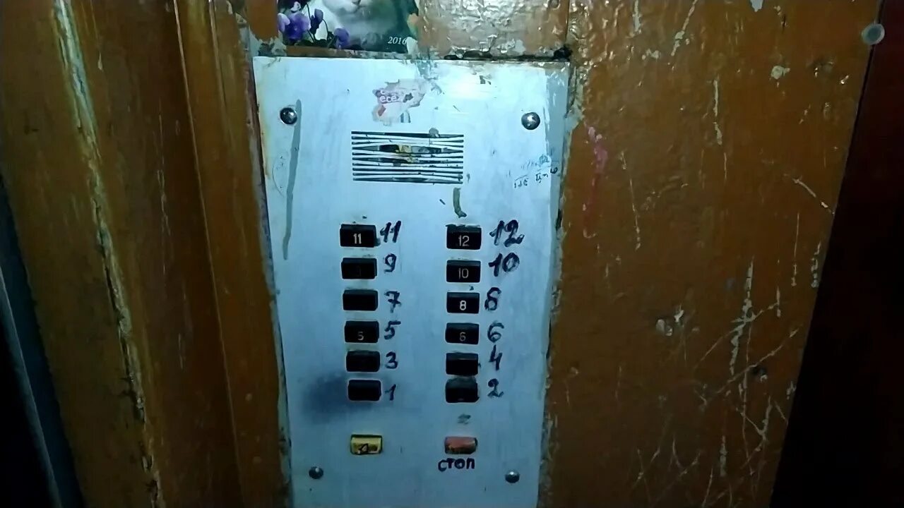 Каховская 43 балаково. Домофон телефон. Домофон eltis dp420. Каховская 43 подъезд 2. Домофон цифрал 2094 tc.