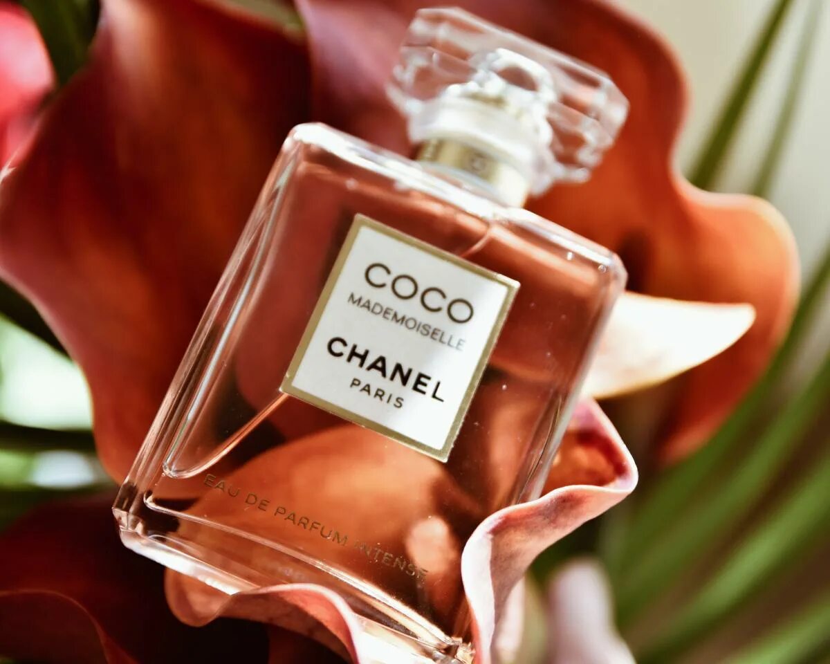 Chanel mademoiselle intense. Шанель мадмуазель Интенс. Chanel Coco Mademoiselle intense. Модмазель Кок Кок Интенс.