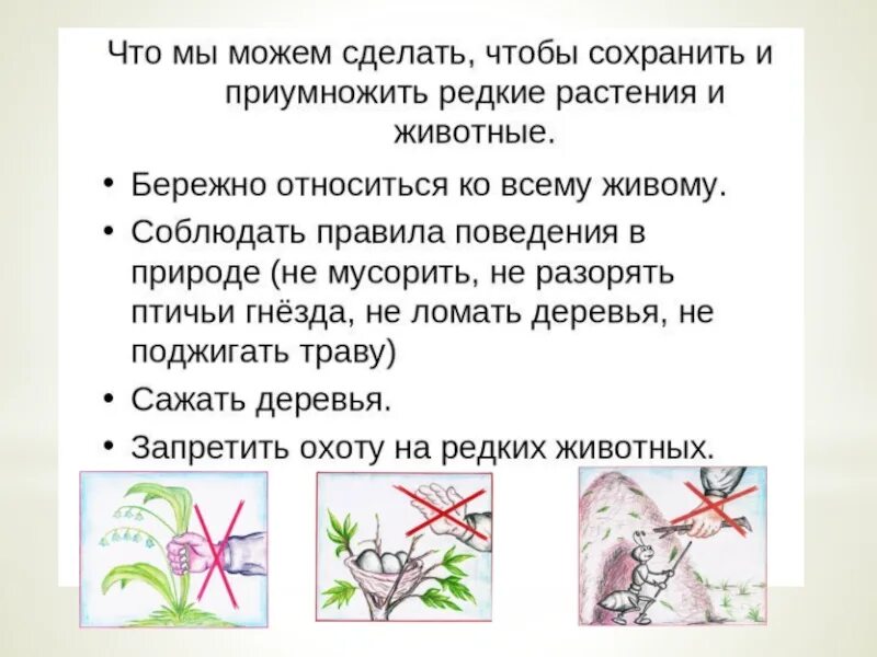 Как можно сохранить виды. Урок на тему биологи защищают природу. проект на тему биологи защищают природу. что мы можем сделать чтобы сохранить и приумножить редкие растения. сообщение на тему биологи защищают природу.