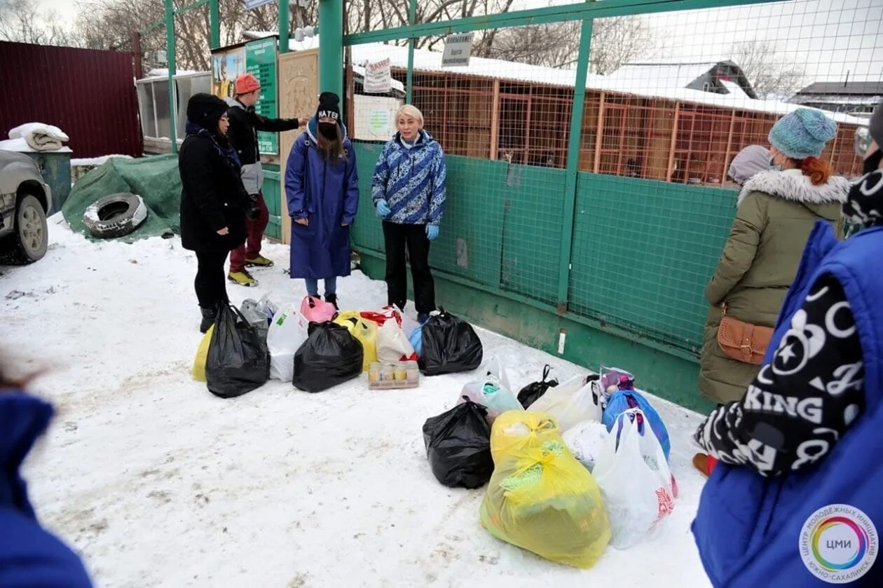 Призыв помогать животным в приюте. Приют Южно-Сахалинск. Приют пес и кот Южно-Сахалинск. Волонтеры помогают. Волонтеры помогают животным.