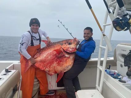 ...about to give up fishing for the day, when a 143-pound Opah fish (also c...