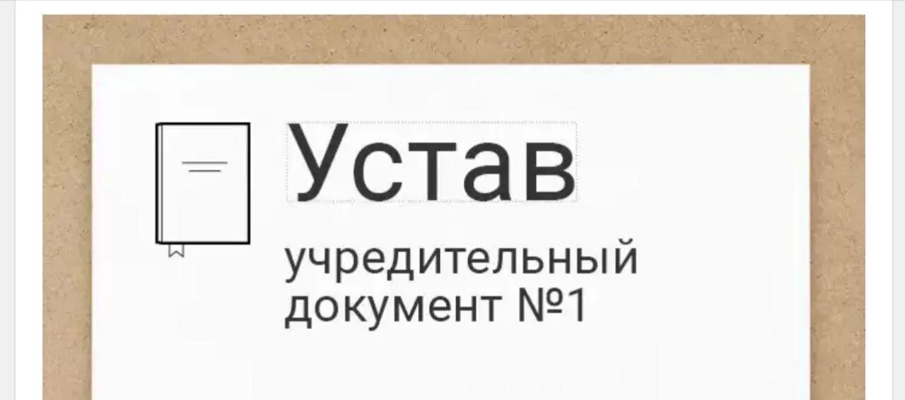 Устав ооо с одним учредителем 2024. Устав картинка. Устав ООО картинки. Устав картинка для презентации. Типовой устав картинки.