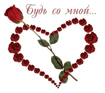 14 февраля поздравления жене