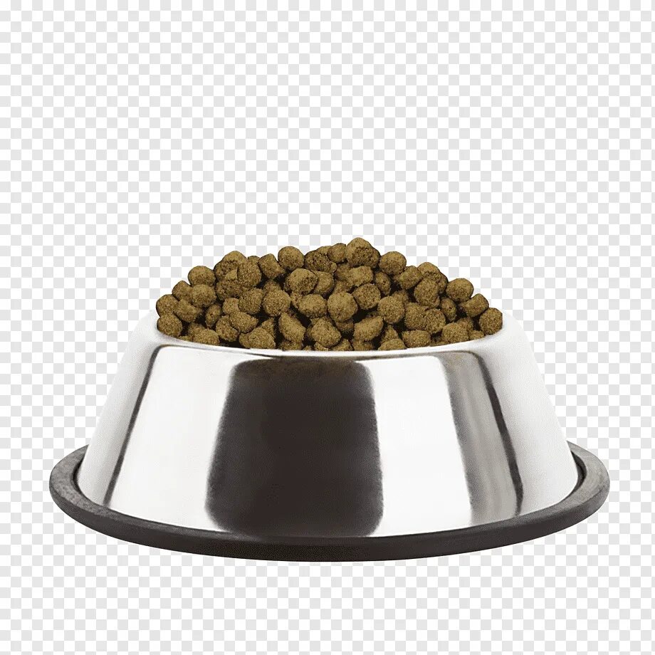 Миска корма для животных. Dog food корм для собак. миска с кормом для собак. корм для кошек в миске. тарелка с кормом.