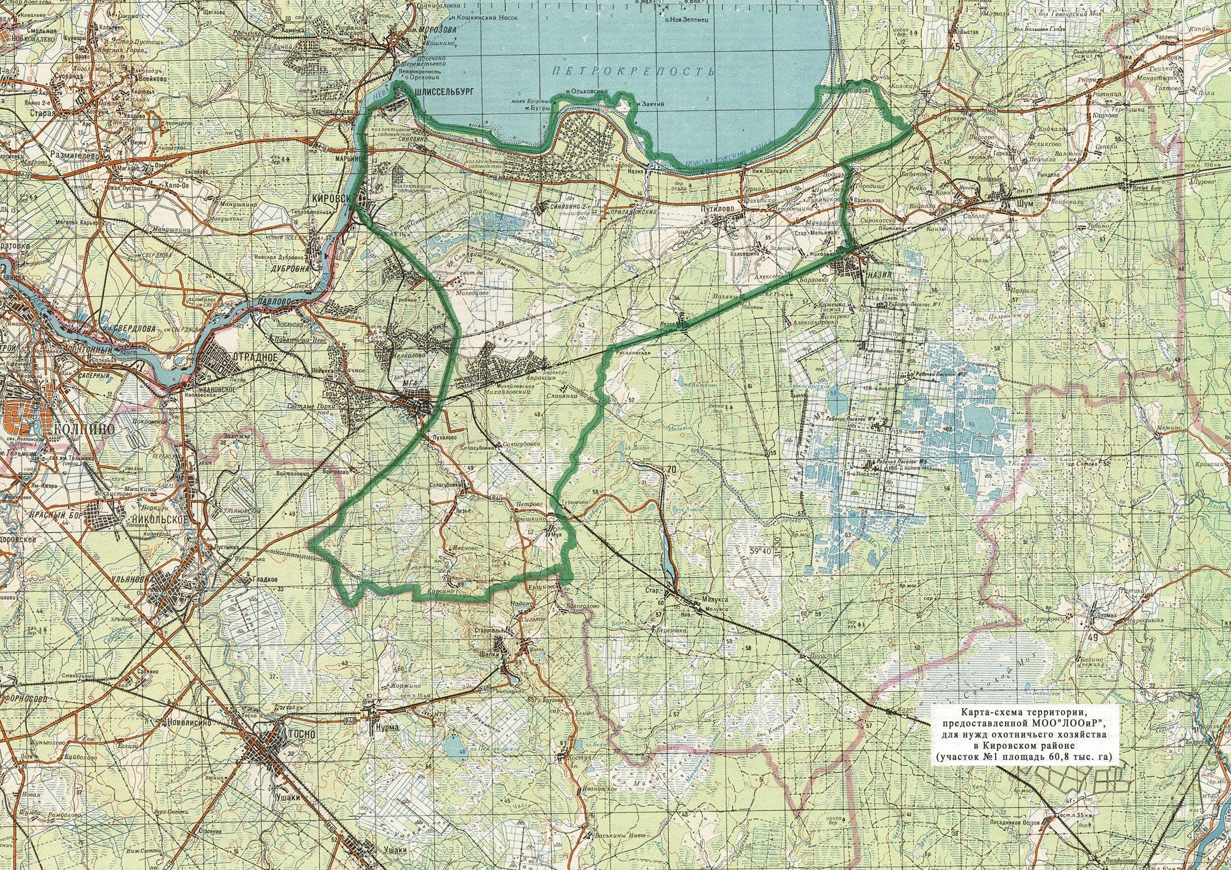 Карта кировского района ленинградской. Обходы ЛООИР Кировский район. ЛООИР карта с обходами Кировский район. Карта обходов ЛООИР Кировского района. Охотничьи угодья ЛООИР.