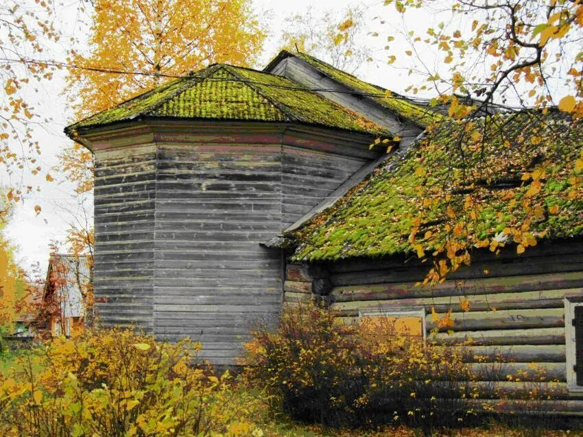 Конёво Архангельская область. Конёво арх область храм. Храм Покрова Пресвятой Богородицы в Конево. Село Конево Архангельская область. Погода конево архангельская область на неделю