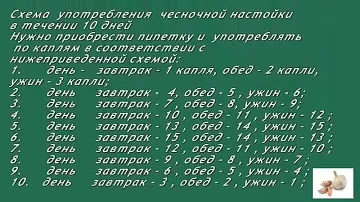 Тибетский рецепт чесночной настойки. Тибетский рецепт чесночной. Тибетский рецепт чесночной настойки. Тибетская чесночная настойка схема приема. Тибетский рецепт молодости с чесноком.