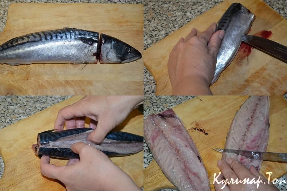 Как разделать скумбрию на филе от костей. Как разделать скумбрию на филе от костей. Разделать скумбрию на филе. Как разделать скумбрию на филе от костей. Как разделать скумбрию.