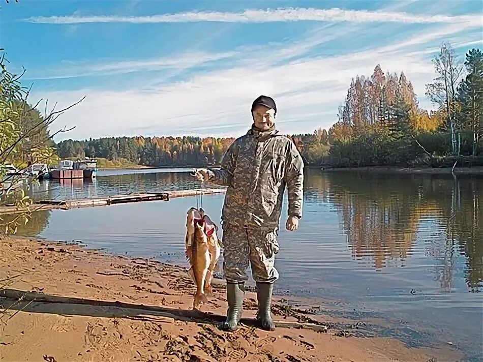 Ярославское общество рыболовов. Дурандин охотовед ярославль. ярославское общество охотников.