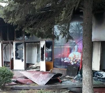 Аллергия ростов