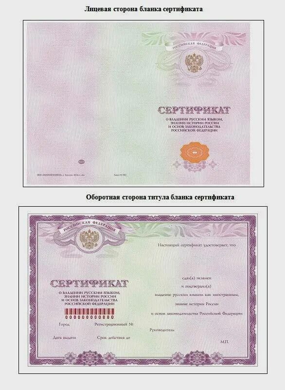 Сдать экзамен получения рвп