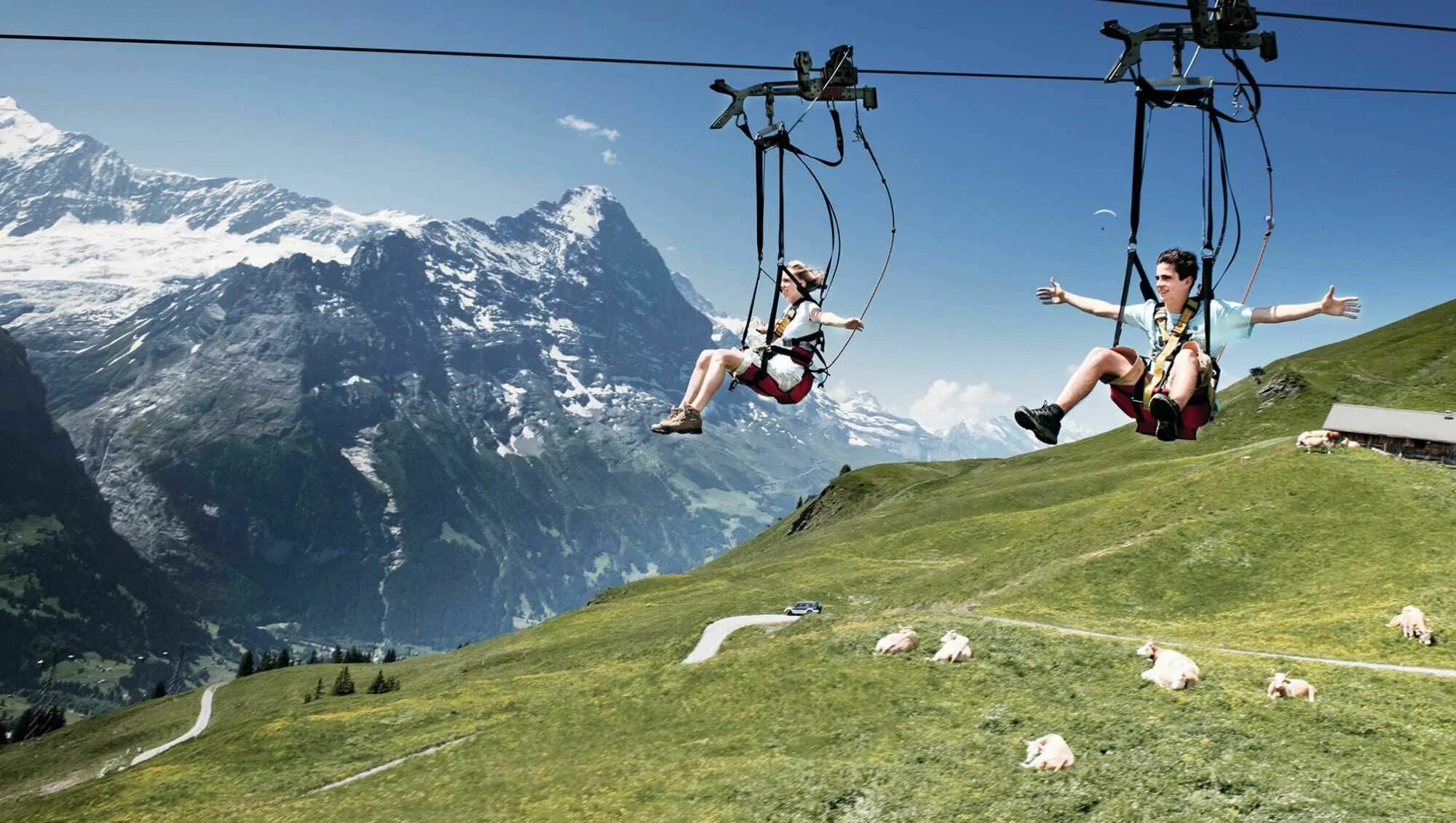 Гриндельвальд Фирст. Развлечения в горах. Швейцария аттракцион в горах. Зиплайн горные лыжи.