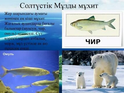 Орамал таққан қыздармен жыныстық қатынас