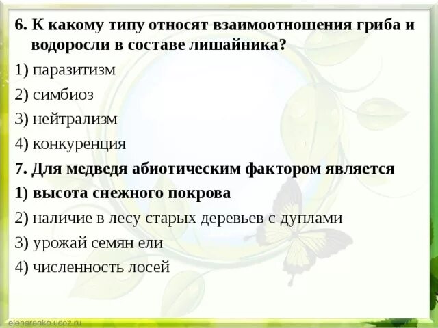 Водоросль и гриб отношения. Гриб и водоросль в лишайнике Тип взаимоотношений. Грибы и водоросли Тип взаимоотношений. Тип взаимоотношений грибы и водоросли в составе лишайника. Взаимосвязь гриба и водоросли в лишайнике.