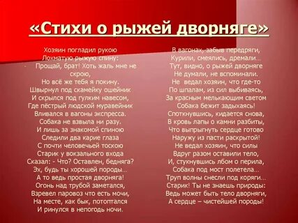Рыжий стихи