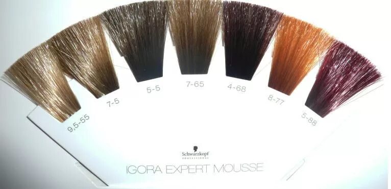 Тонирующий мусс schwarzkopf igora. Igora expert mousse палитра. schwarzkopf professional мусс igora expert. schwarzkopf igora expert mousse палитра. тонирующий мусс schwarzkopf professional igora expert mousse.