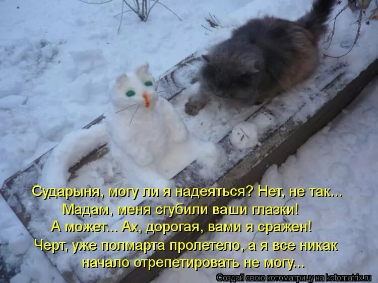 Надпись на снегу. Анекдоты про холодную весну. Веселые статусы в картинках про погоду. Прикольные картинки про холодную весну с надписями. Анекдоты про весну в картинках.