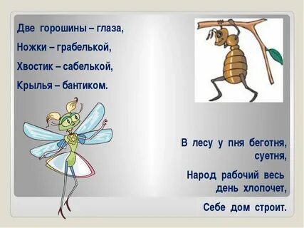 Вот какая стрекоза как горошины глаза
