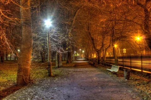 Городской парк ночью