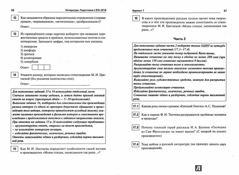 Текст цветаевой егэ. ЕГЭ по литературе демоверсия. ЕГЭ по литературе 2023. ЕГЭ по литературе 2022 демоверсия. 16 Сочинение ЕГЭ литература.