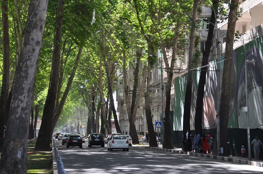 душанбе ул айни. душанбе проспект рудаки. город душанбе улицы. город душанбе улицы. таджикистан улицы душанбе.