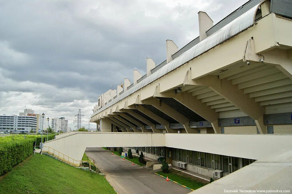 КСК Битца Чертаново. Ипподром Чертаново. Спортивный комплекс Битца. Конно-спортивный комплекс Битца. Каток битца