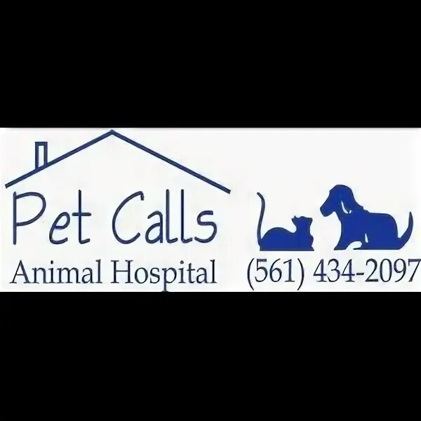 Call pet