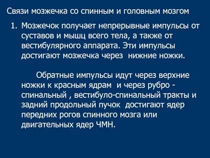 Связь спинного мозга с головным какая