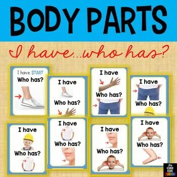 B d y h m s. Have has body Parts. Body Parts i have. Body Parts game. Have has body.