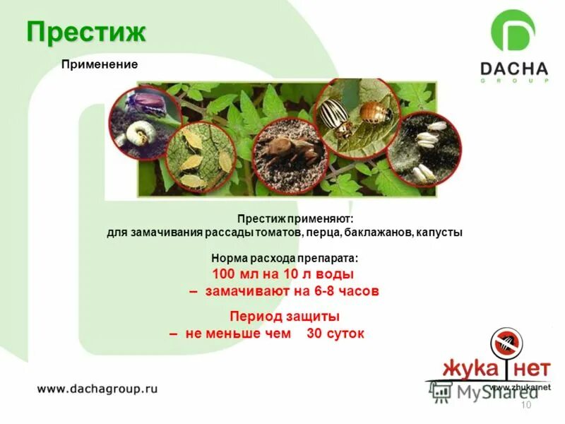 значение социального статуса. тема престиж. им престиж одежда больших размеров женская. престиж примеры. престиж понятие в обществознании.