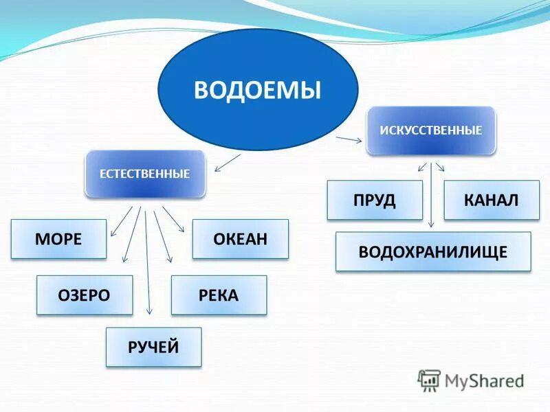 Естественная и искусственная группы