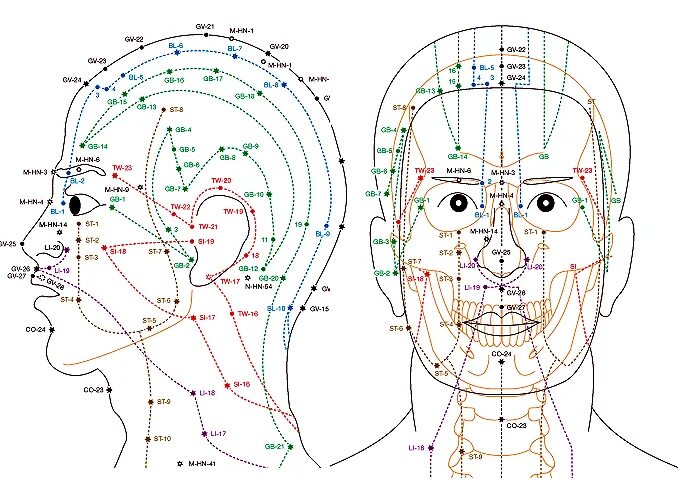 Акупунктура меридианы тела человека схема. Точки акупунктуры на спине человека атлас. Схема акупунктурных точек. Схема акупунктурных точек. Меридианы человека схема и направления китайская медицина на лице.