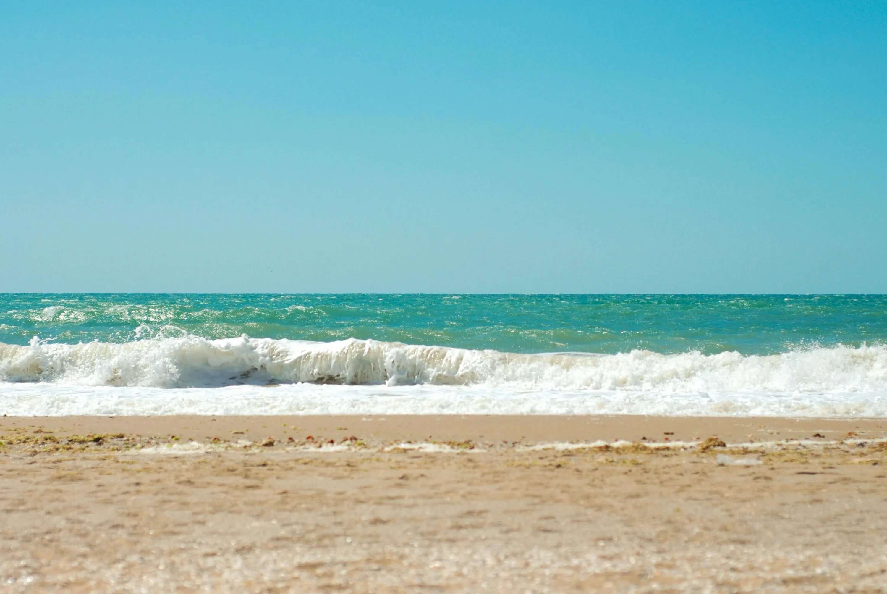 Море пляж. Берег моря. Море без людей. Пляж без людей. Summer coast
