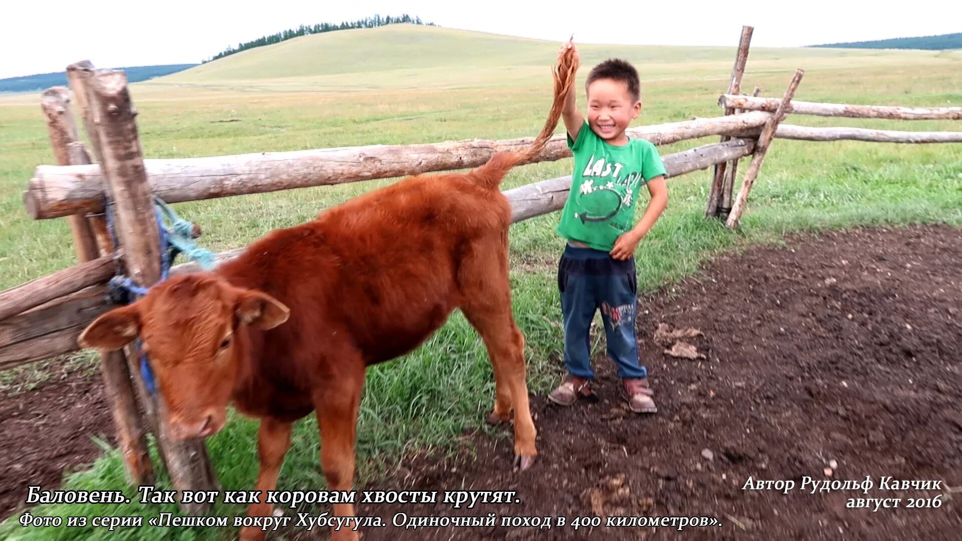 Воспаление параанальных желез