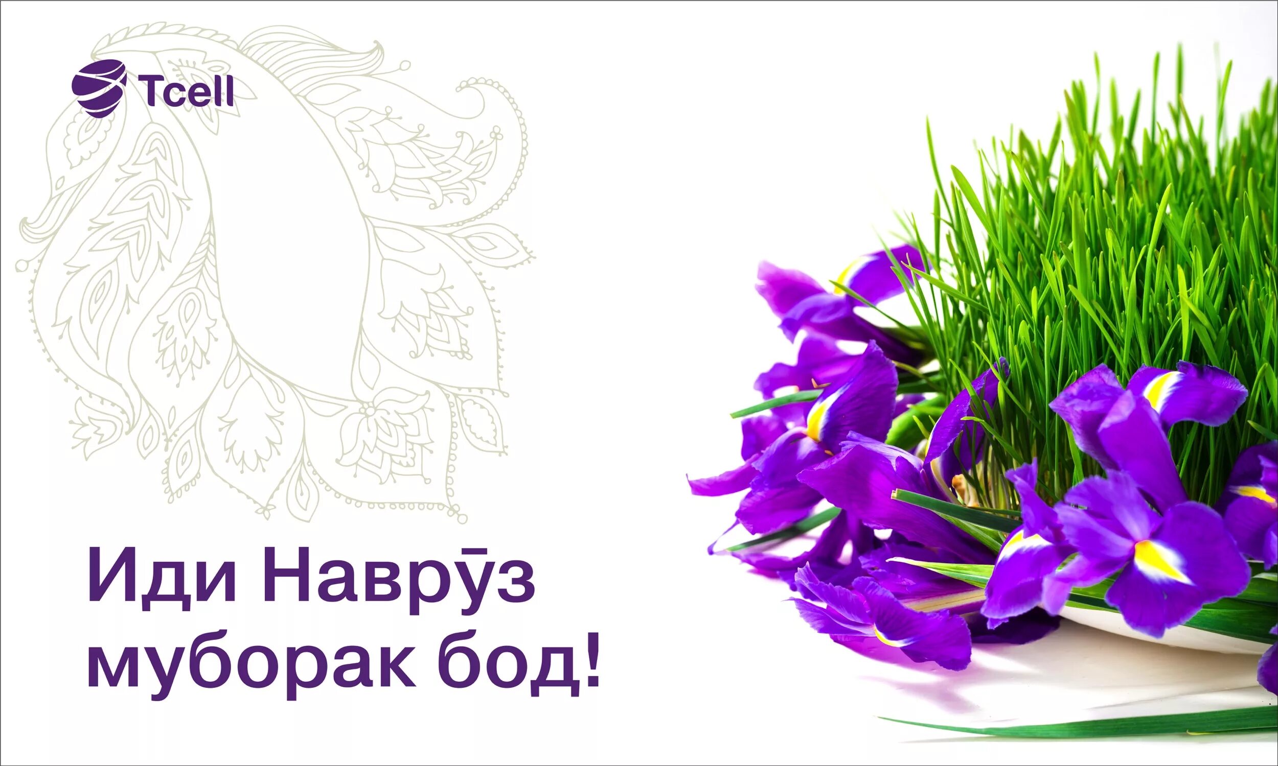 Шеъри наврузи. Навруз праздник весны. С праздником Навруз. Navroz Mubarak. С праздником Навруз муборак.