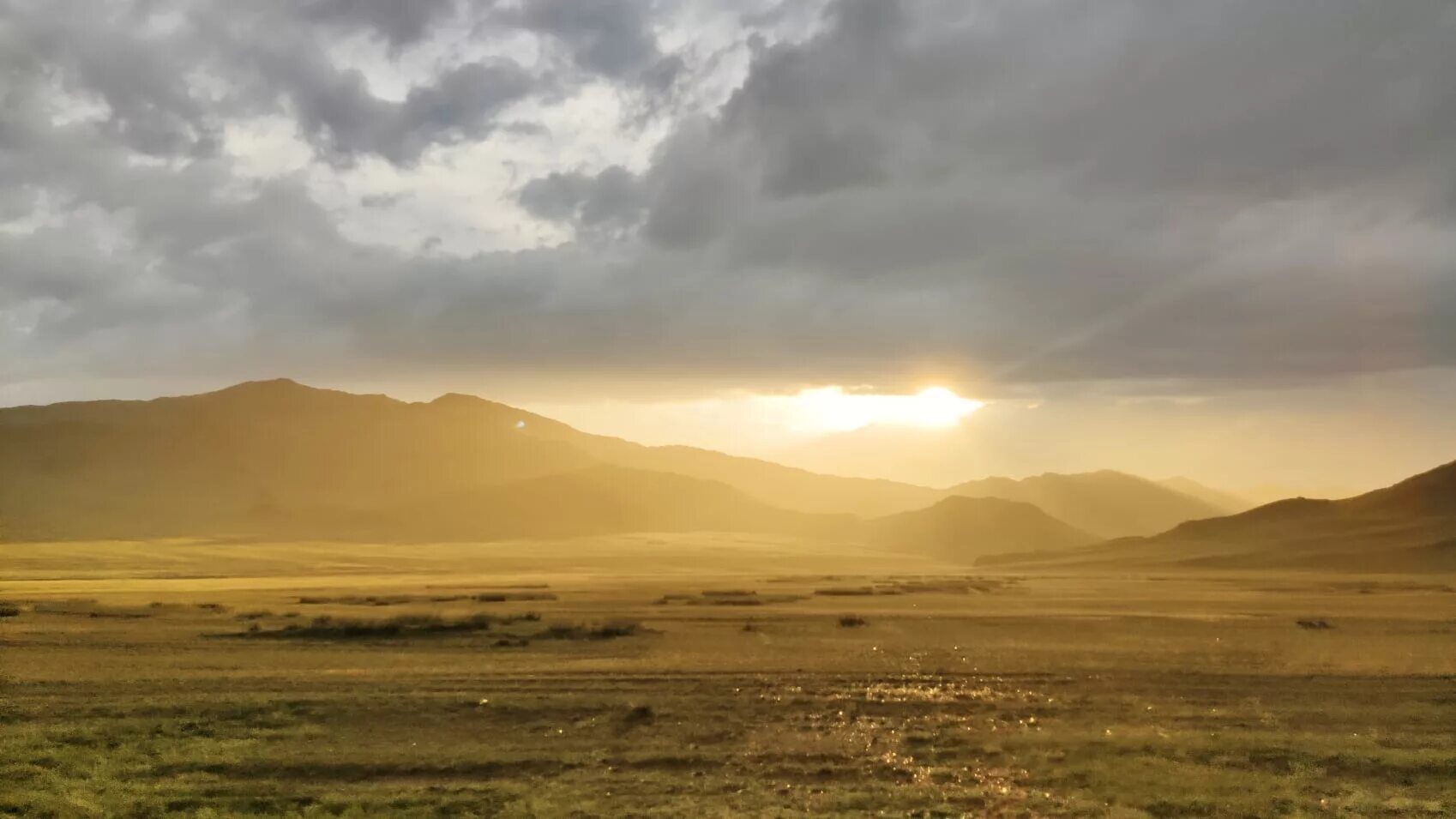 Желтый пейзаж. Поле пшеницы. Природа республики хакасия лесостепь. Кунгуров золотая степь. Степи луганщины пшеничные поля.