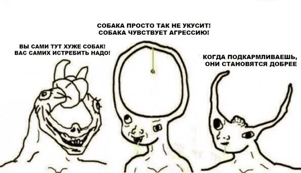 Ненавижу собак. Причины ненавидеть собак. собаки ненавижу собак.