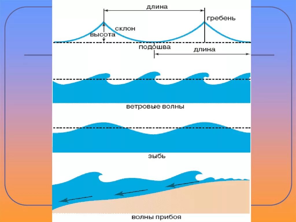 Строение ветровых волн. Схема образования волны. Высота морской волны. Высота волн в океане. Подошва волны это