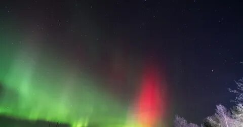 Сияние ленинградская