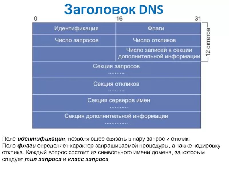 Dns packet. Структура dns пакета. заголовок dns. формат dns пакета. формат заголовка сообщений dns.