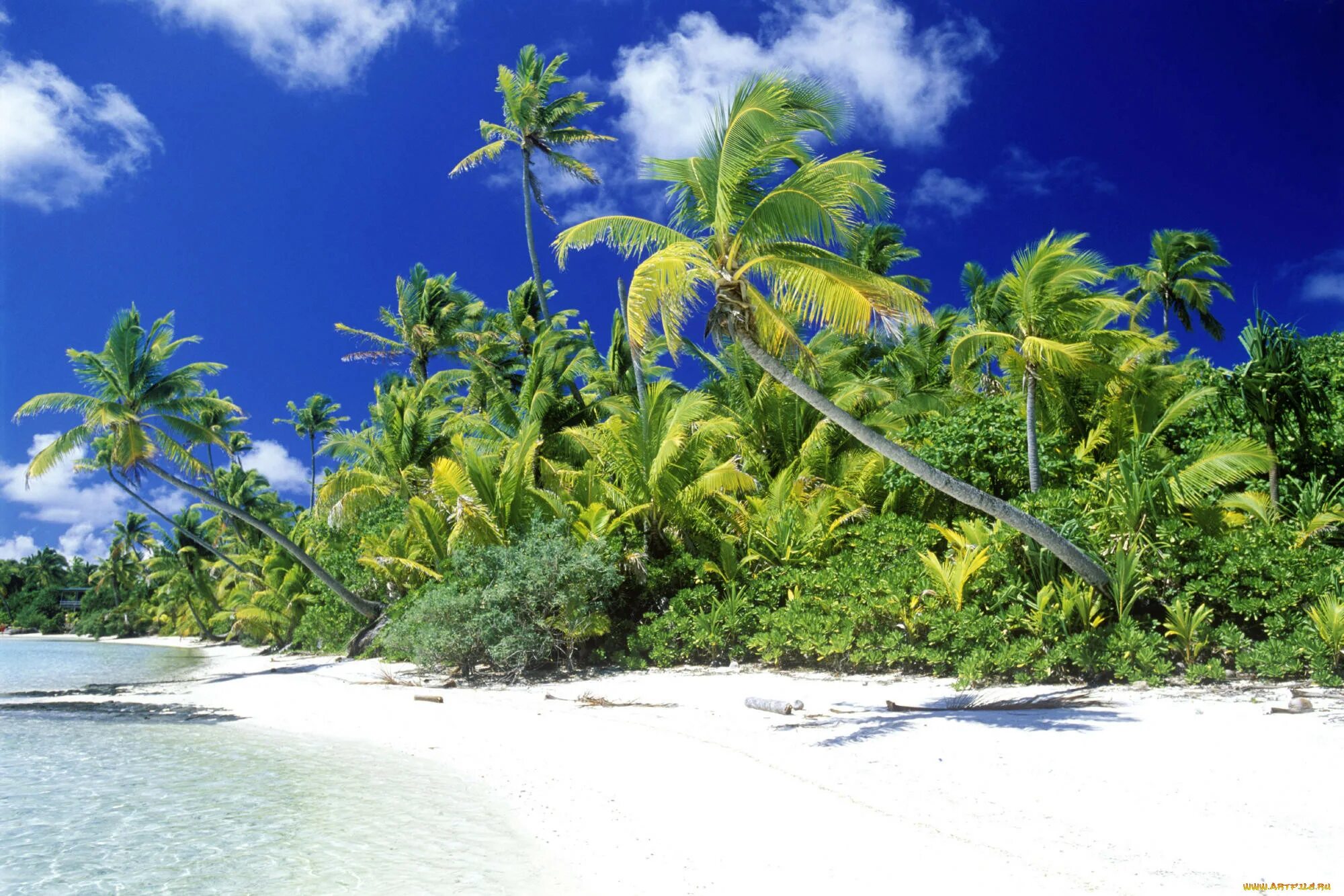 Гавайи Багамы. Соломоновы острова. Остров Вакайя Фиджи пальмы.